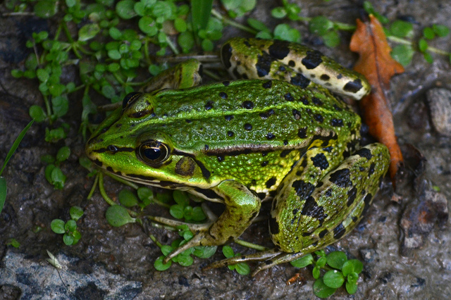 8333372707_4b87e4a1ca_z