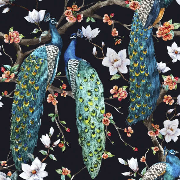 Peacock wallpaper