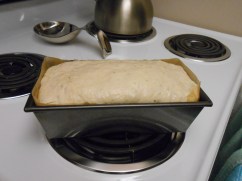 Simple Sandwich Bread